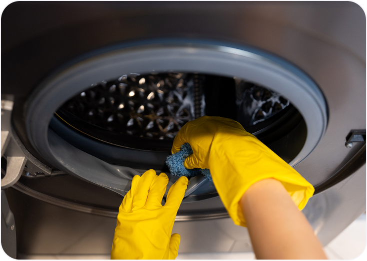 Hands cleaning inside washing machine
